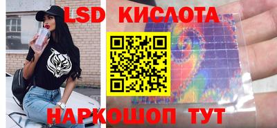 гидра Кандалакша