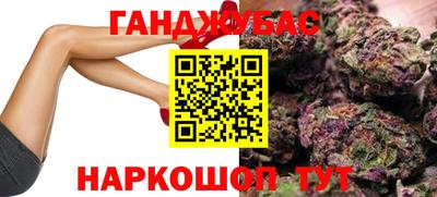гидра Кандалакша