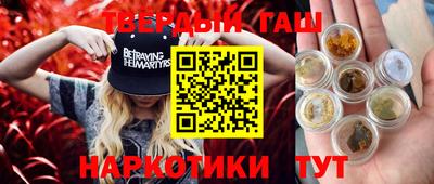гидра Кандалакша