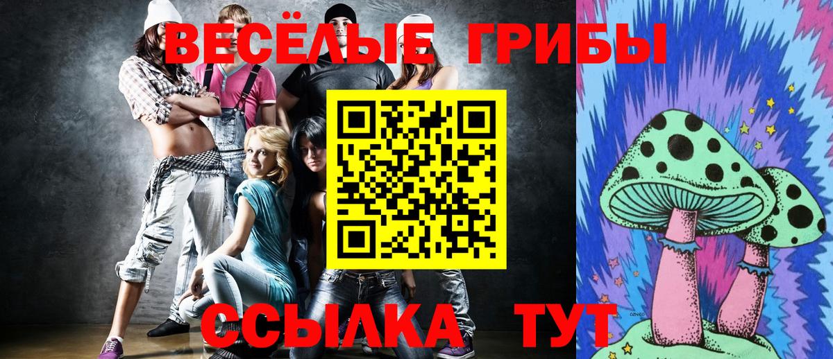 Галлюциногенные грибы прущие грибы Краснодар