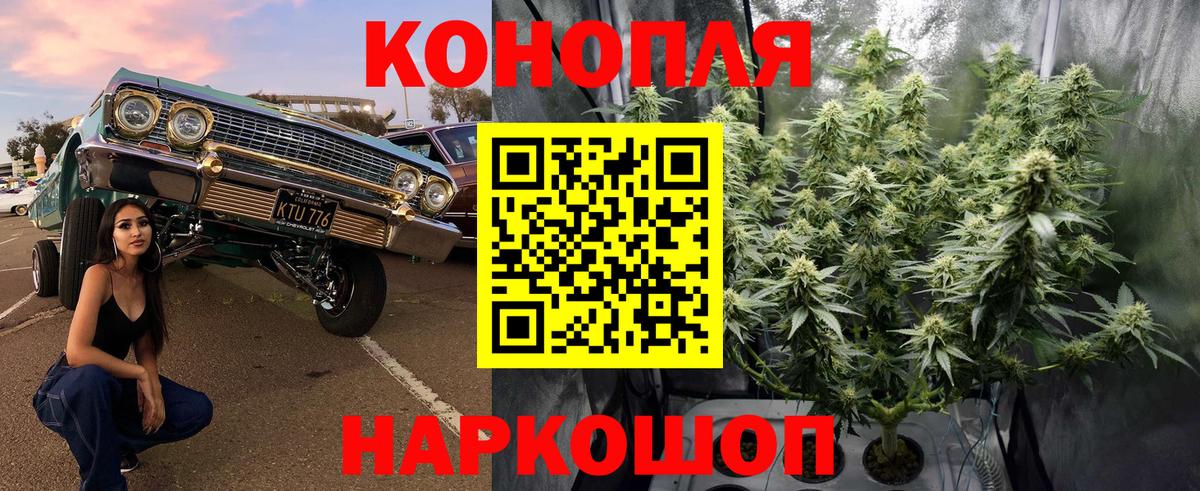 Марихуана SATIVA & INDICA Краснодар